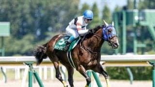 【東京ジャンプS予想オッズ】ホッコーメヴィウスが予想1番人気