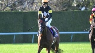 1億8700万円馬が復活誓う オルフェ・ゴルシらに続く前年菊花賞馬の宝塚記念Vへ