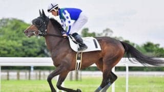 ジャンポケ斉藤所有、オマタセシマシタは休養明け3戦目で5着