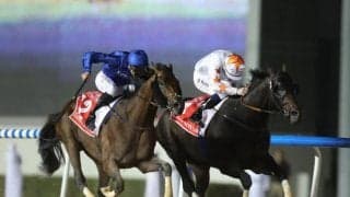 18年・19年のドバイWCを連覇 サンダースノーの産駒が門別で初勝利