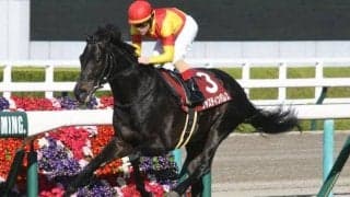 【宝塚記念予想】穴党AIがまさかの「波乱なし」 指名馬を近年データから徹底解剖