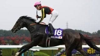 宝塚記念は５歳牝馬の２頭が推し 2200ｍのスペシャリスト、レースと縁深い「格下馬」に注目
