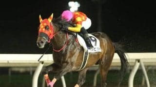 各地のダービー勝ち馬7頭のうち5頭が日高生産馬 決して高額落札馬ではない馬が頂点に