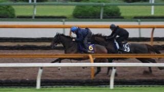 ジェラルディーナ、宝塚記念最終追い切り速報/栗東トレセンニュース