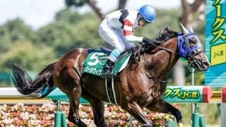 【東京ジャンプS出走馬・騎手確定】ホッコーメヴィウス＆黒岩悠騎手、ロードアクア＆難波剛健騎手など12頭
