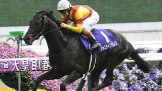 【宝塚記念・調教後馬体重】ジャスティンパレスは474kg、イクイノックスは492kg