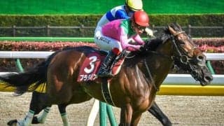 伏兵での一発はお手の物!? 菱田裕二騎手がプラダリアでJRA・GI初制覇狙う