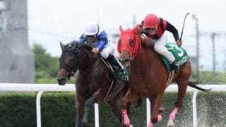 【笠松・クイーンC結果】ペップセが初重賞制覇