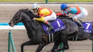 ディープ牡駒は21頭挑戦も未勝利 鬼門の宝塚記念に挑む今年の3頭