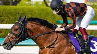 8枠は宝塚記念“超好成績”枠 今年のピンク帽の顔ぶれは…