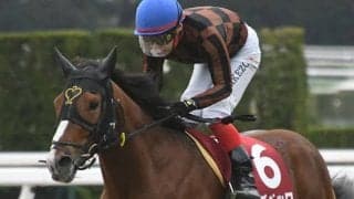 現役屈指の“道悪巧者” 宝塚記念でGI初制覇を狙う