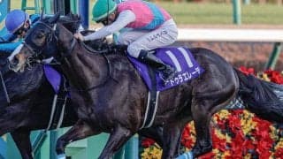 阪神芝2200mはドゥラメンテ産駒が買い！ 宝塚記念は斤量53kgの注目株が参戦