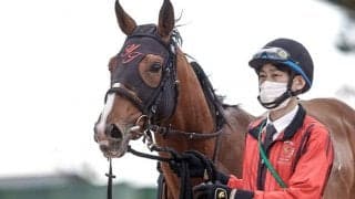 宝塚記念17頭の“香港馬名”を紹介「北島名花」や「一勝再勝」はどの馬？