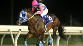 【門別・赤レンガ記念結果】ハセノパイロが3連勝で移籍後初重賞制覇！