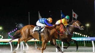 【船橋・ファンシーサドル特別】今村聖奈が船橋に初参戦で初勝利