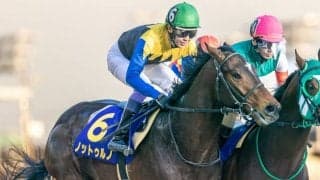 【帝王賞】JRA出走予定馬