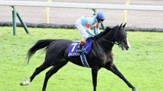 【宝塚記念】出走馬の調教後の馬体重