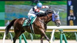 【東京JS枠順確定】ホッコーメヴィウスは7枠10番、ロードアクアは5枠5番