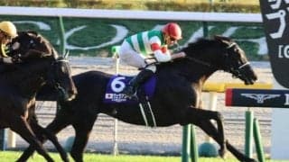 史上初！前走ダートからの宝塚制覇なるか GI馬2頭が“歴史的1勝”に挑戦