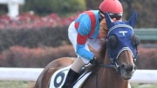 【日曜函館8R予想】前走ハイレベル戦で好内容6着 ヤングワールドの押し切りだ