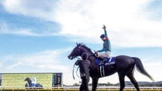 【宝塚記念予想】波乱傾向の古馬GI 上半期を締めくくる人馬は？