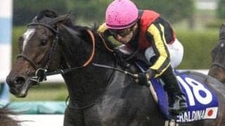 【宝塚記念予想】多頭数なら上がり重視 芝2200m巧者の末脚に託す