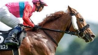 【パラダイスS予想】条件良し＆季節良し 前走125倍Vもフロック視は危険