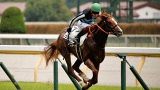 【新馬/東京5R】ヴェロキラプトルがデビューV…三浦皇成騎手はJRA通算1000勝達成