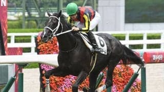 【阪神5R新馬戦結果】ギャンブルルームが最後方から5馬身差をつける圧勝！