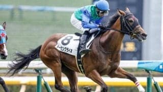 【東京5R新馬戦結果】11番人気のトーセンクライネがデビュー勝ち！