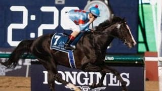 【宝塚記念・馬体重】イクイノックスは492kg(前走海外)、ジャスティンパレスは470kg(-2)