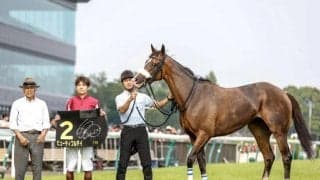 【パラダイスS結果】ビューティフルデイがハナ差の接戦を制す