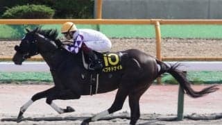 【大沼S結果】ペプチドナイルが3馬身差の快勝！