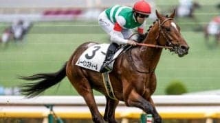 【ラジオNIKKEI賞】レーベンスティール、バルサムノートらが登録