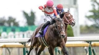 【CBC賞】昨年のNHKマイルC制したダノンスコーピオン、1200mで5戦4勝のマッドクールらが登録