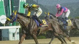 【佐賀・佐賀ユースC結果】ブレイブアモーレが人気に応えて初重賞制覇