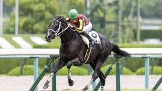 【新馬/阪神5R】キズナ産駒 ギャンブルルームが5馬身差圧勝