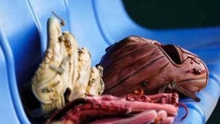 保護者への“強制”防止へ…学童の「野球離れ」を問題視　連盟が異例の通知回すワケ