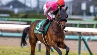 距離短縮組が好成績のラジオNIKKEI賞 今年はオメガリッチマンなど4頭該当