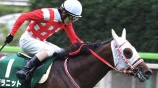 逃げ馬が好走するラジオNIKKEI賞 伏兵グラニットの粘り込みに要注意