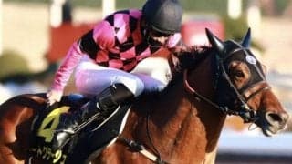 ディープ産駒との相性◎のCBC賞 今年は馬券妙味ある2頭が登録