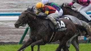 海外G1・2勝のエイシンヒカリ CBC賞で産駒初の重賞制覇に挑戦
