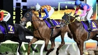 【帝王賞】松山「1番枠が仇に…」テーオーケインズは人気に応えられず