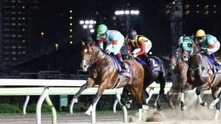 【帝王賞】鮫島駿「ちょっと長かったのかな…」プロミストウォリア、G1の壁で連勝ストップ