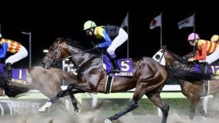 【帝王賞】武豊「距離が長いのかも」レース後ジョッキーコメント