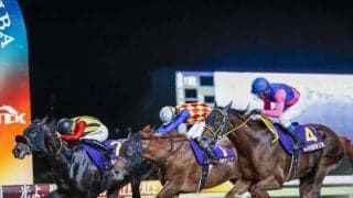 帝王賞の売上は44億881万600円 昨年から23.7％増でレコードに