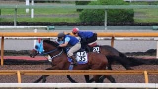 タガノビューティー、プロキオンS1週前追い切り速報/栗東トレセンニュース