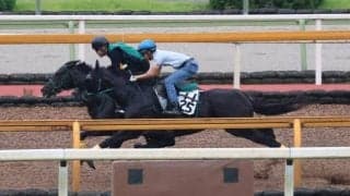 セイウンハーデス、七夕賞1週前追い切り速報/栗東トレセンニュース