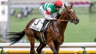 【ラジオNIKKEI賞出走馬・騎手確定】レーベンスティール＆戸崎圭太騎手、アイスグリーン＆幸英明騎手など16頭