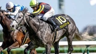 【CBC賞出走馬・騎手確定】マッドクール＆坂井瑠星騎手、エイシンスポッター＆角田大河騎手など12頭